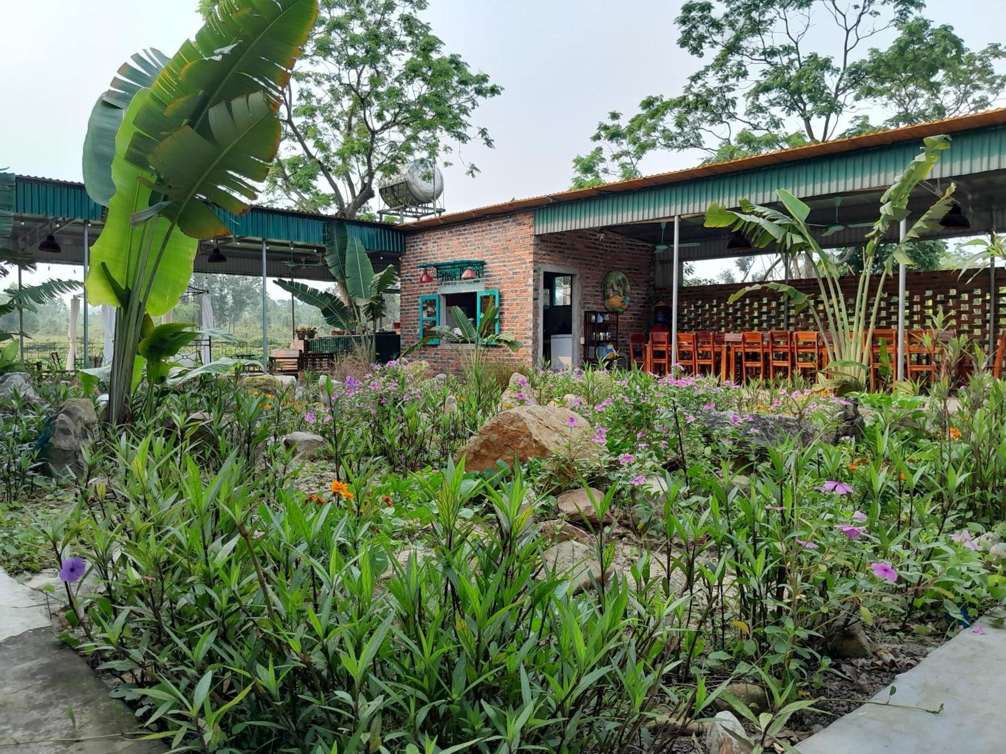 Mina Cafe & Stay Quan Lan Exterior photo