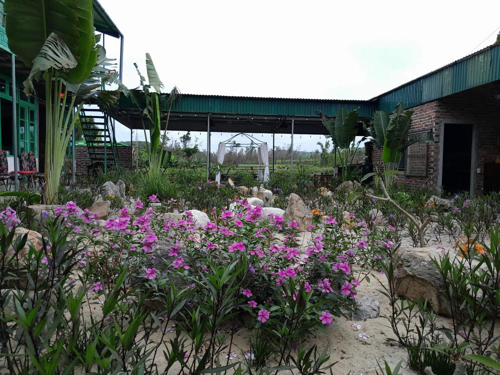 Mina Cafe & Stay Quan Lan Exterior photo